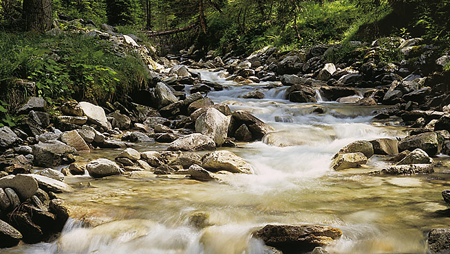 Bergbach im Großarltal