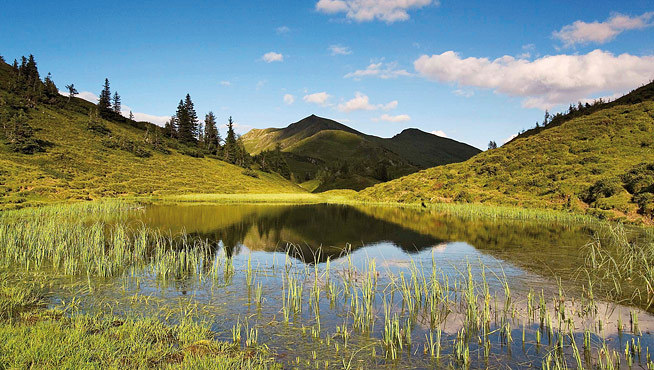 Natur im Großarltal