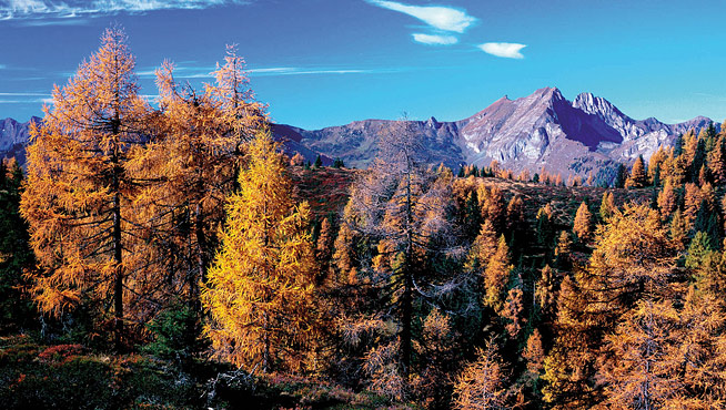 Herbst im Großarltal im Salzburger Land